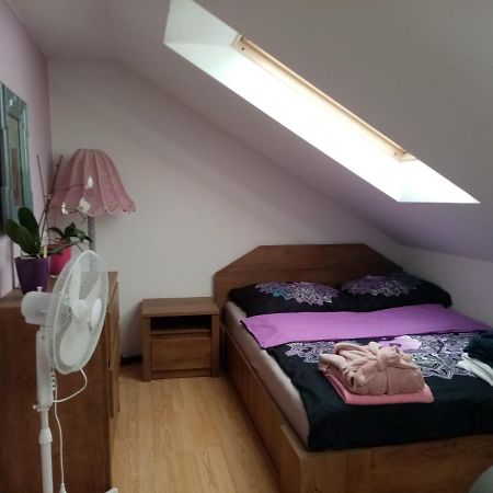 Appartement Podkrovni Apartman Tereza à Rumburk Extérieur photo