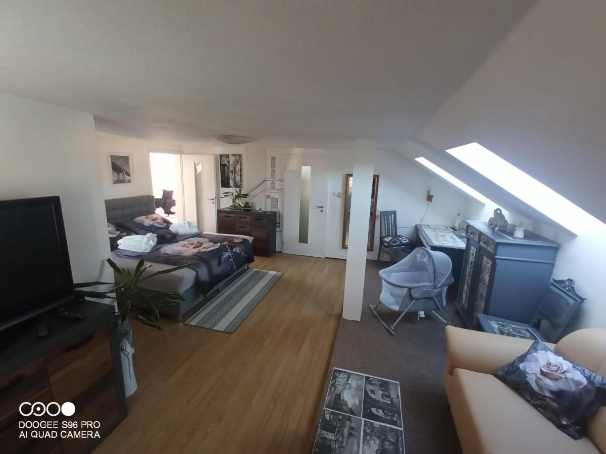 Appartement Podkrovni Apartman Tereza à Rumburk Extérieur photo