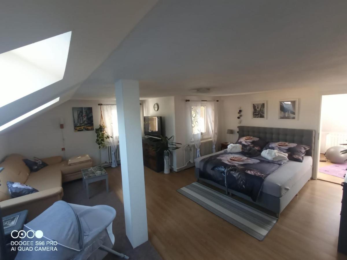 Appartement Podkrovni Apartman Tereza à Rumburk Extérieur photo