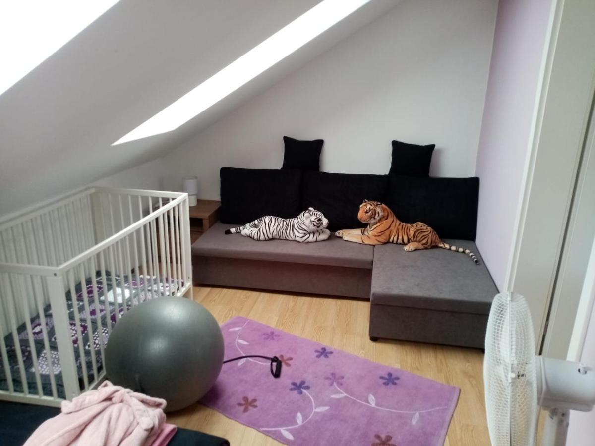Appartement Podkrovni Apartman Tereza à Rumburk Extérieur photo