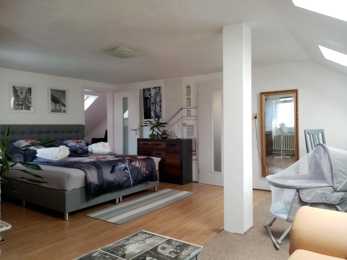 Appartement Podkrovni Apartman Tereza à Rumburk Extérieur photo